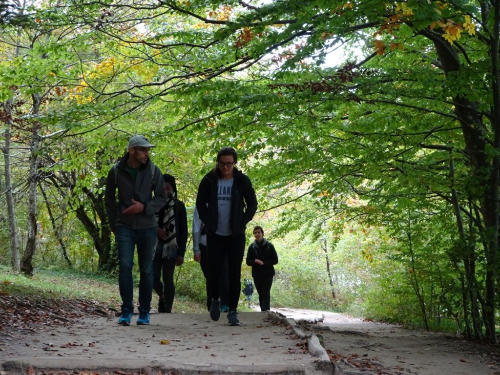 Walking in the woods