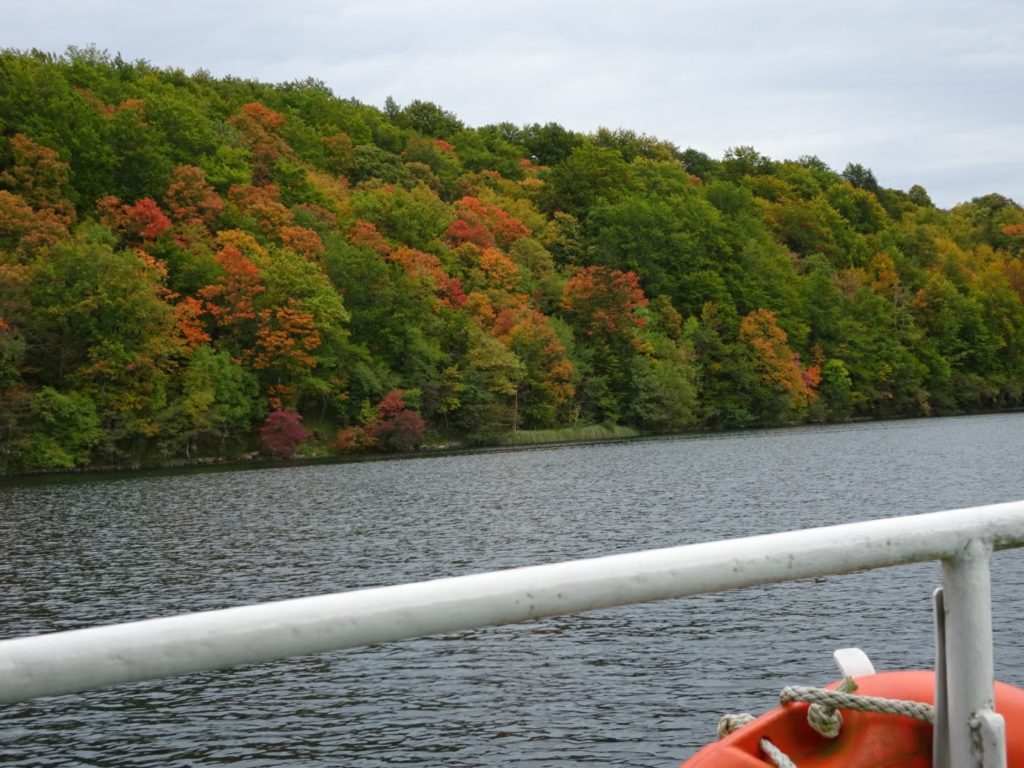 Fall colors from the ferry